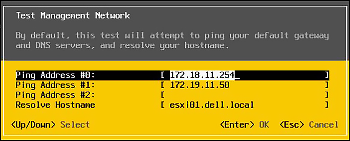 ESXi network test to DNS server