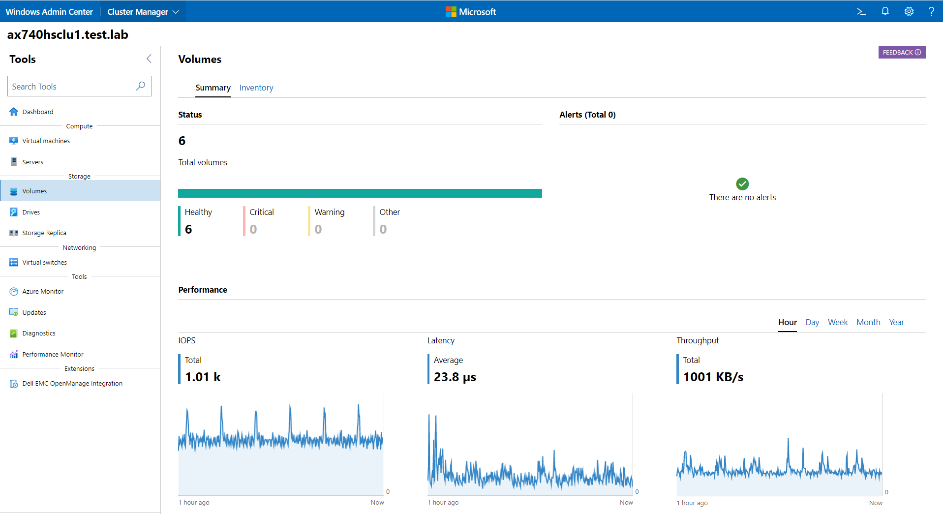 Image of Volumes Summary tab