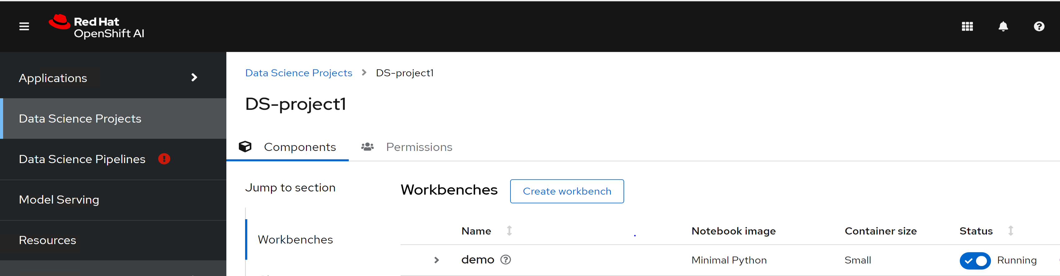 A console window displaying a data science project status