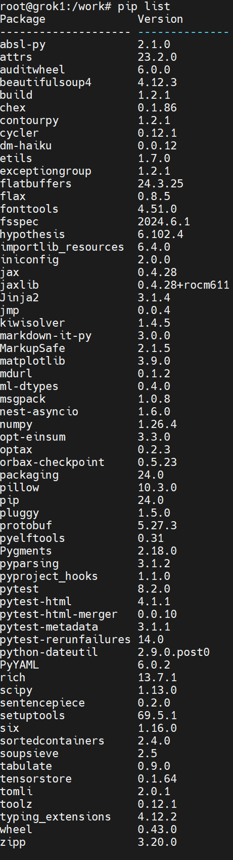 Code snippet showing the versions of the Python packages in the container.