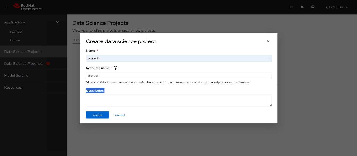 A screenshot showing the values you must enter to create a data science project